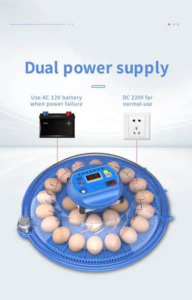 Automatic incubator 11