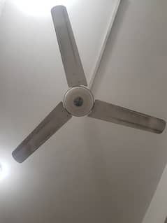 Fan ceiling