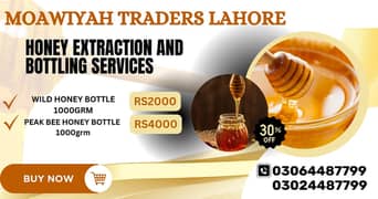 Best Quality Honey Service, Honey Service Near Me, Honey Bee