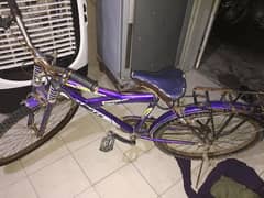 used cycle price 10000 0