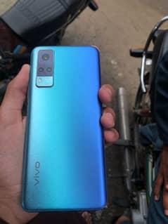 Vivo