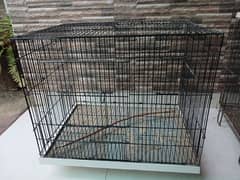 Bird cage for sale