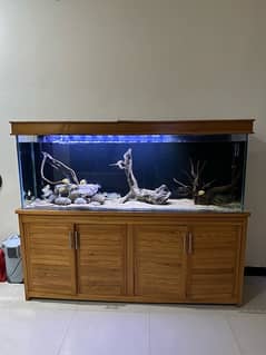 6ft aquarium 12mm glass