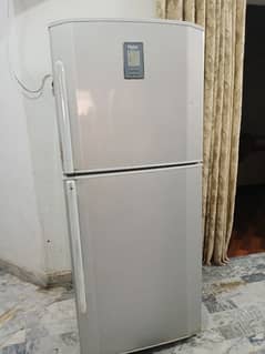 fridge