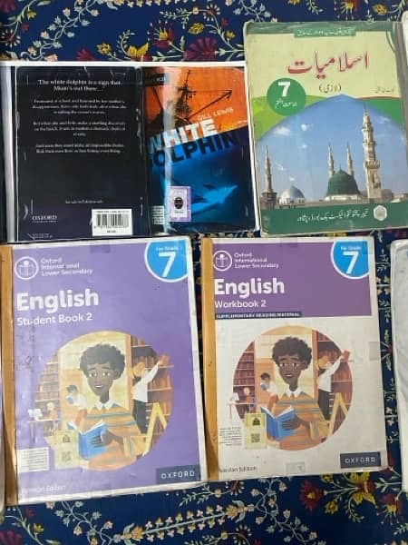 Beconhouse Class 7 Books 0