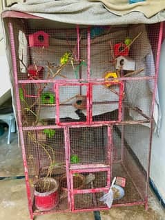 Birds Big Cage Complete Setup For Sale