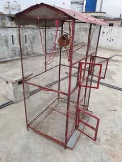 Birds & Cage Complete Setup For Sale