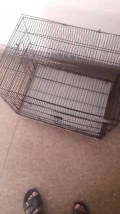 cages for sale near chaklala Rawalpindi