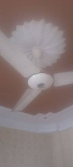 ceiling