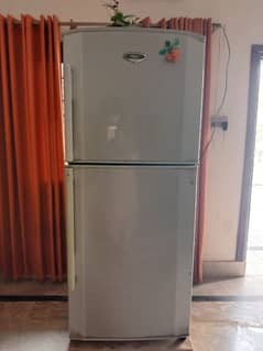 Haier fridge