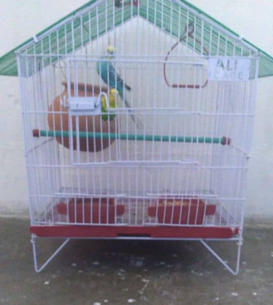 pair of parrot with cage 0