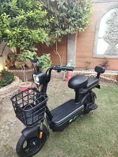 Electric Scooty Fippler