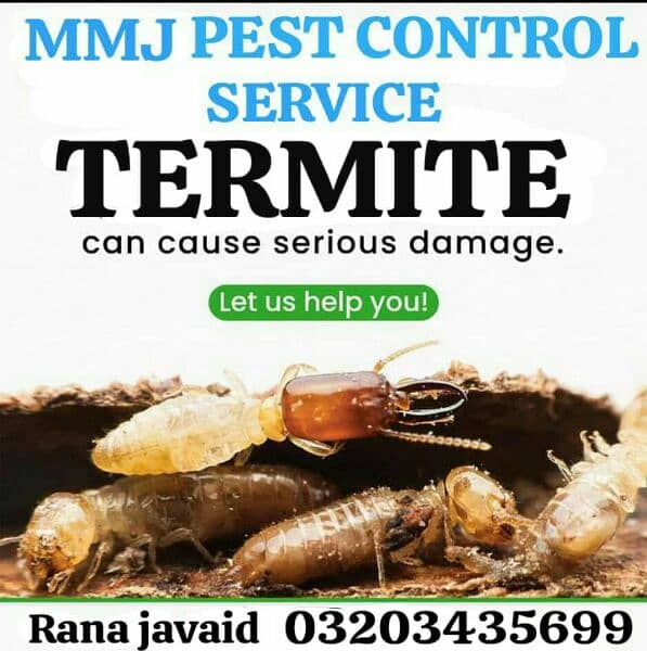 Termite/Pest control treatment/deemak control service/spray fumigatio 0