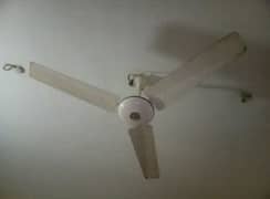 Ceiling Fan 3 pcs