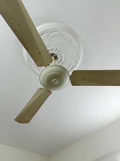 Excellent Performance Ceiling Fan