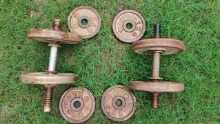 A pair of adjustable Dumbbells