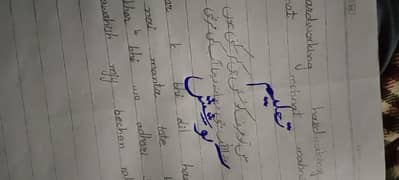 real hand writing assignments 0