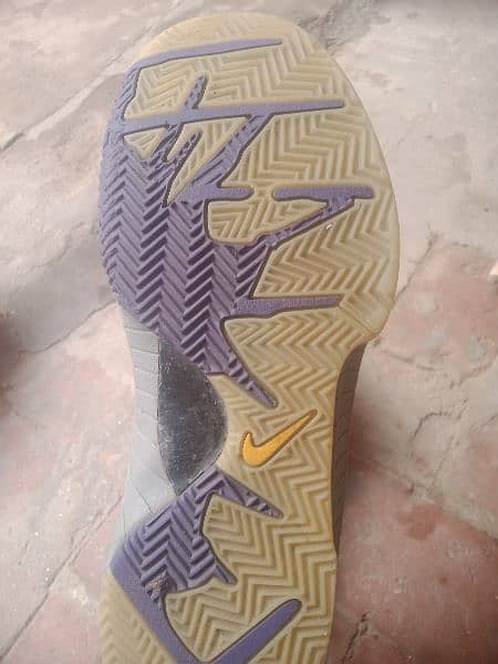 jogar shoes 3