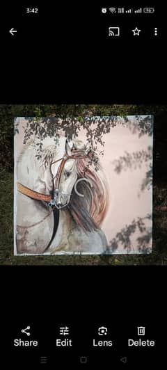 Horse Painting