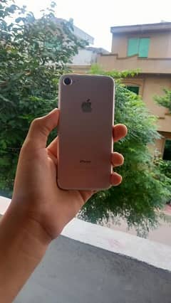 IPhone 7 (PTA Approved] 0