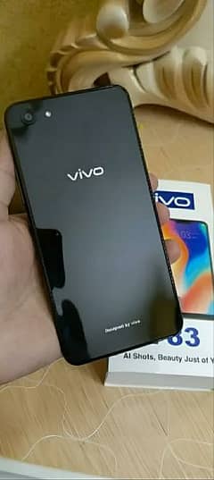 Vivo