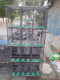 birds cages available