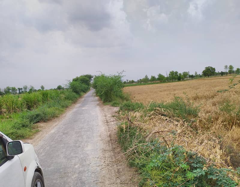 Agriculture Land For Sale at Near Sataina Road By Pass (Best For Farmhouse, Control Shed, Azafiabadi) 3