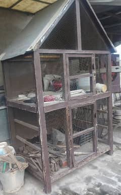 Birds cage