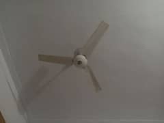 ceiling fan. price is final so plz behes mt karain