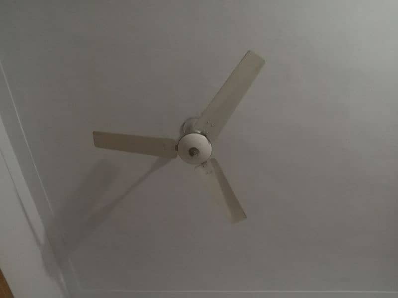 ceiling fan. price is final so plz behes mt karain 0