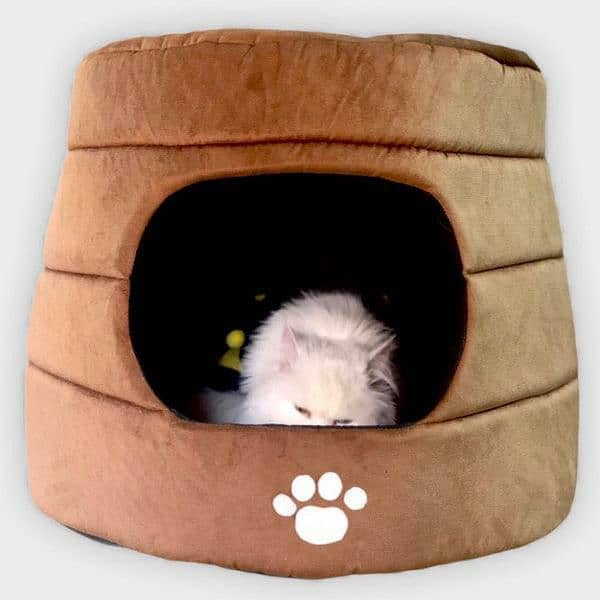 PET HOUSE FOR CATS AND DOGS 1