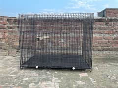 Cages/Brooder/Breeding Boxes/Birds Cage/Doors/Cage For Sale