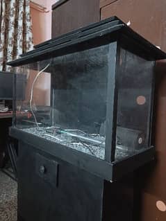 Fish Aquarium