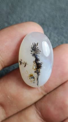 Dendritic agate Shajari Aqeeq 100% natural Original scenery design