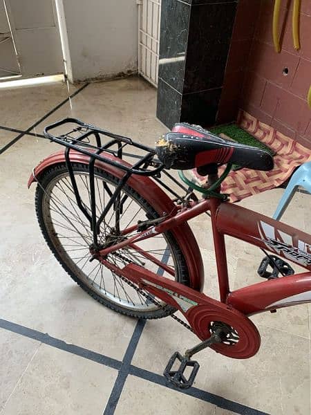 deluxe bicycle 2