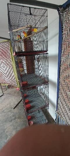 cage for sale 03198528172