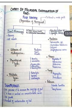 Handwritten Assignment/Practical Journal work