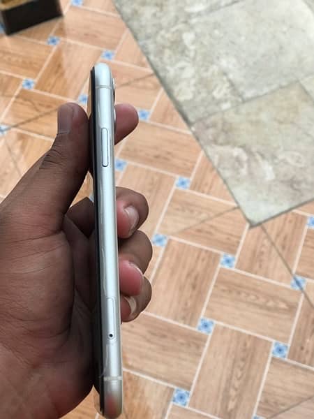 iPhone 11 pta approved 3