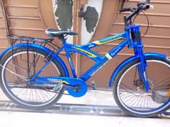 typhoon bycycle ( brand new condition )