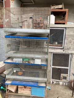 Cages For Sell, Urgent Money Needed