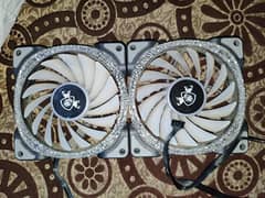 AA tiger case fan for sale