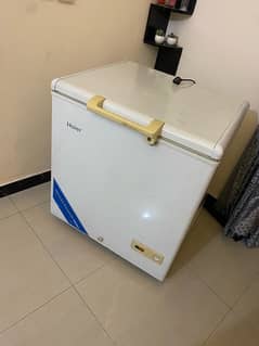 haier single door d-freezer