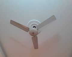 48 inches cieling fan