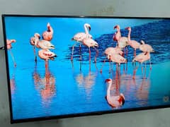 50” TCL 4K UHD Android TV with Google Assistant