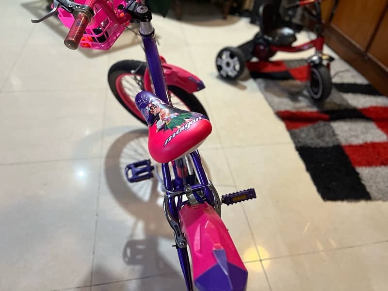 best cycle for girls 20 inch 3