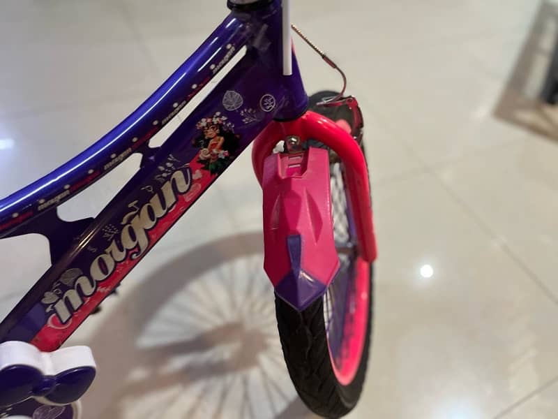 best cycle for girls 20 inch 5