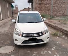 Suzuki Cultus VXL 2019 0