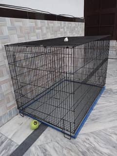 Cat Dog Cage Full Size