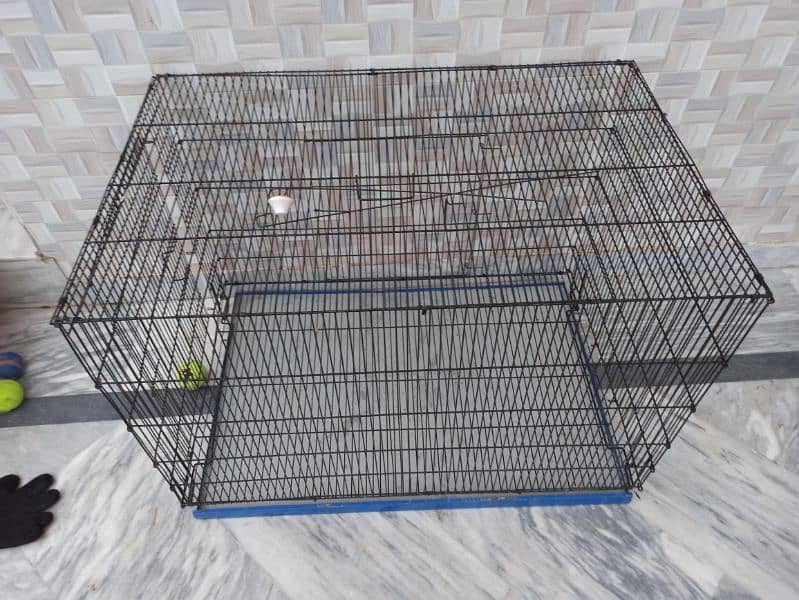 Cat Dog Cage Full Size 1