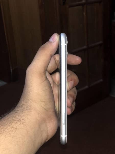 IPHONE 11 (White) 3